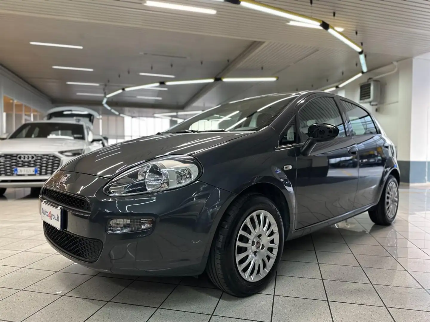 Fiat Punto 1.2 8V 5 porte Street NEOPATENTATO Gris - 2