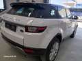 Land Rover Range Rover Evoque 2.0SD4 HSE 4WD Aut. 240 Blanco - thumbnail 6