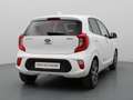 Kia Picanto 67pk CVVT Design Edition Camera | Climate | Cruise Wit - thumbnail 19