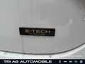 Renault ZOE Zoe Evolution EV50 135hp LED Klimaautomatik SHZ Белый - thumbnail 15