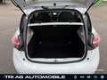 Renault ZOE Zoe Evolution EV50 135hp LED Klimaautomatik SHZ Белый - thumbnail 12