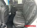 Kia Sorento 2,2 CRDI DCT AWD Platinum Pano Premium-P. Massages Alb - thumbnail 15