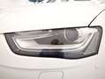 Audi A4 Intense quattro Weiß - thumbnail 26