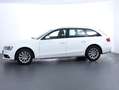 Audi A4 Intense quattro Weiß - thumbnail 8