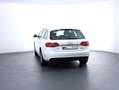 Audi A4 Intense quattro Weiß - thumbnail 6