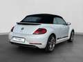 Volkswagen Beetle Cabrio 1.4 TSI DESIGN LM20 NAVI KAMERA FE Silber - thumbnail 18