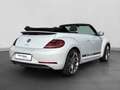 Volkswagen Beetle Cabrio 1.4 TSI DESIGN LM20 NAVI KAMERA FE Silber - thumbnail 3