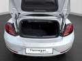 Volkswagen Beetle Cabrio 1.4 TSI DESIGN LM20 NAVI KAMERA FE Silber - thumbnail 17