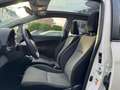 Toyota Verso-S Life Panorama-Dach/1.Hand Weiß - thumbnail 8