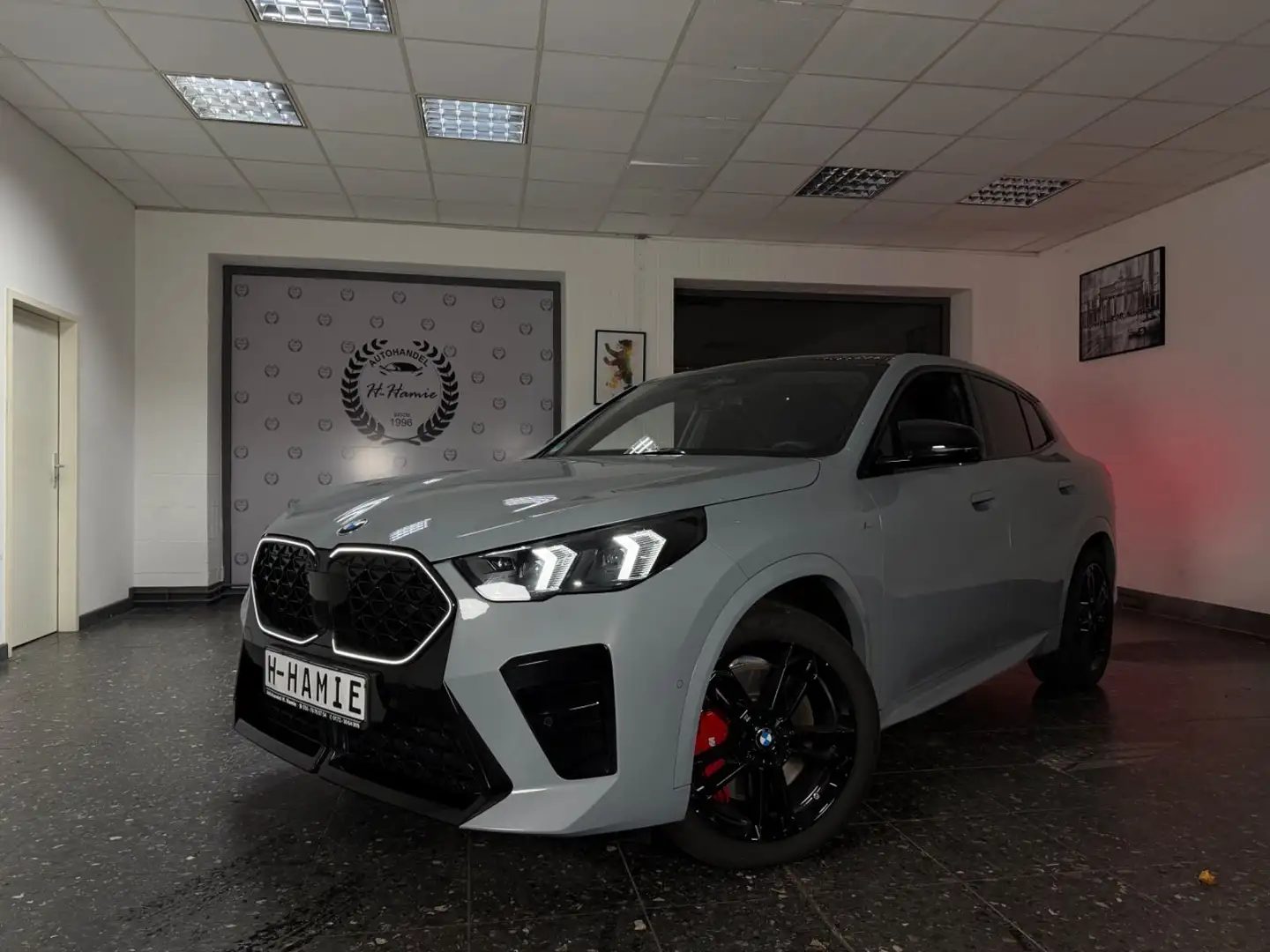 BMW X2 20d xDrive PANO LASER ICONIC H&K 360° HUD KEY Grau - 1