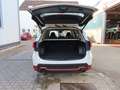Subaru Forester 2.0ie 4WD EXCLUSIVE CROSS MY2024 Weiß - thumbnail 10