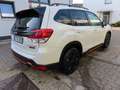 Subaru Forester 2.0ie 4WD EXCLUSIVE CROSS MY2024 Weiß - thumbnail 4