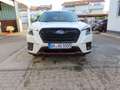 Subaru Forester 2.0ie 4WD EXCLUSIVE CROSS MY2024 Weiß - thumbnail 2