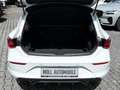 CUPRA Leon VZ 2.0 TSI EU6d Vision Plus-Paket-Beats AD Navi Di Weiß - thumbnail 17