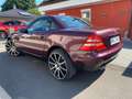 Mercedes-Benz SLK 230 SLK 230 Kompressor Roşu - thumbnail 5