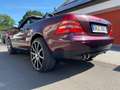 Mercedes-Benz SLK 230 SLK 230 Kompressor Roşu - thumbnail 11
