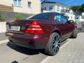 Mercedes-Benz SLK 230 SLK 230 Kompressor Roşu - thumbnail 7