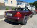 Mercedes-Benz SLK 230 SLK 230 Kompressor Roşu - thumbnail 10