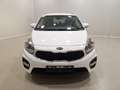 Kia Carens 1.7 CRDi Dream Team Navi|SHZ|RFK Blanc - thumbnail 9
