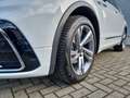 Volkswagen Tiguan 1.5 TSI DSG R-Line LED KAMERA AHK Weiß - thumbnail 8