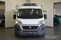 Fiat Ducato 35 3.0 CNG PLM-TM Furgone Maxi Isotermico OK Neop. Bianco - thumbnail 1