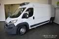 Fiat Ducato 35 3.0 CNG PLM-TM Furgone Maxi Isotermico OK Neop. Bianco - thumbnail 3