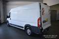 Fiat Ducato 35 3.0 CNG PLM-TM Furgone Maxi Isotermico OK Neop. Bianco - thumbnail 6