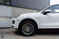 Porsche Cayenne 3.0 S E-Hybrid | 2016 | Sport Chrono Blanc - thumbnail 9