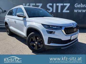 2,0 TDI 4x4 Ambition DSG| AHK