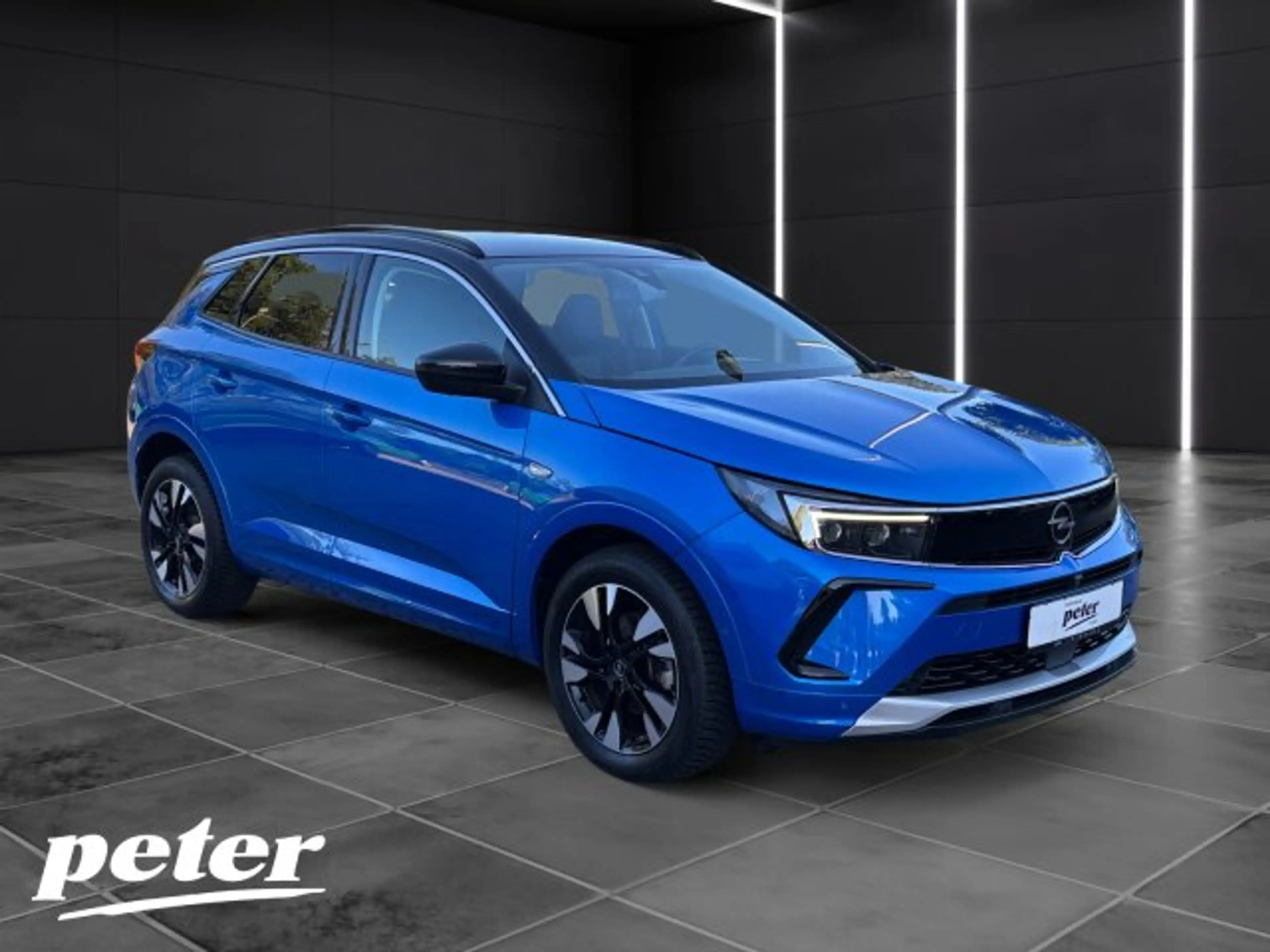 Opel Grandland Grandland 1.2 Turbo Elegance Klimaautomatik Sitzheizung — photo 5