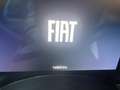Fiat Panda Pandina Cross 1.0 firefly hybrid s&s 70cv Verde - thumbnail 8