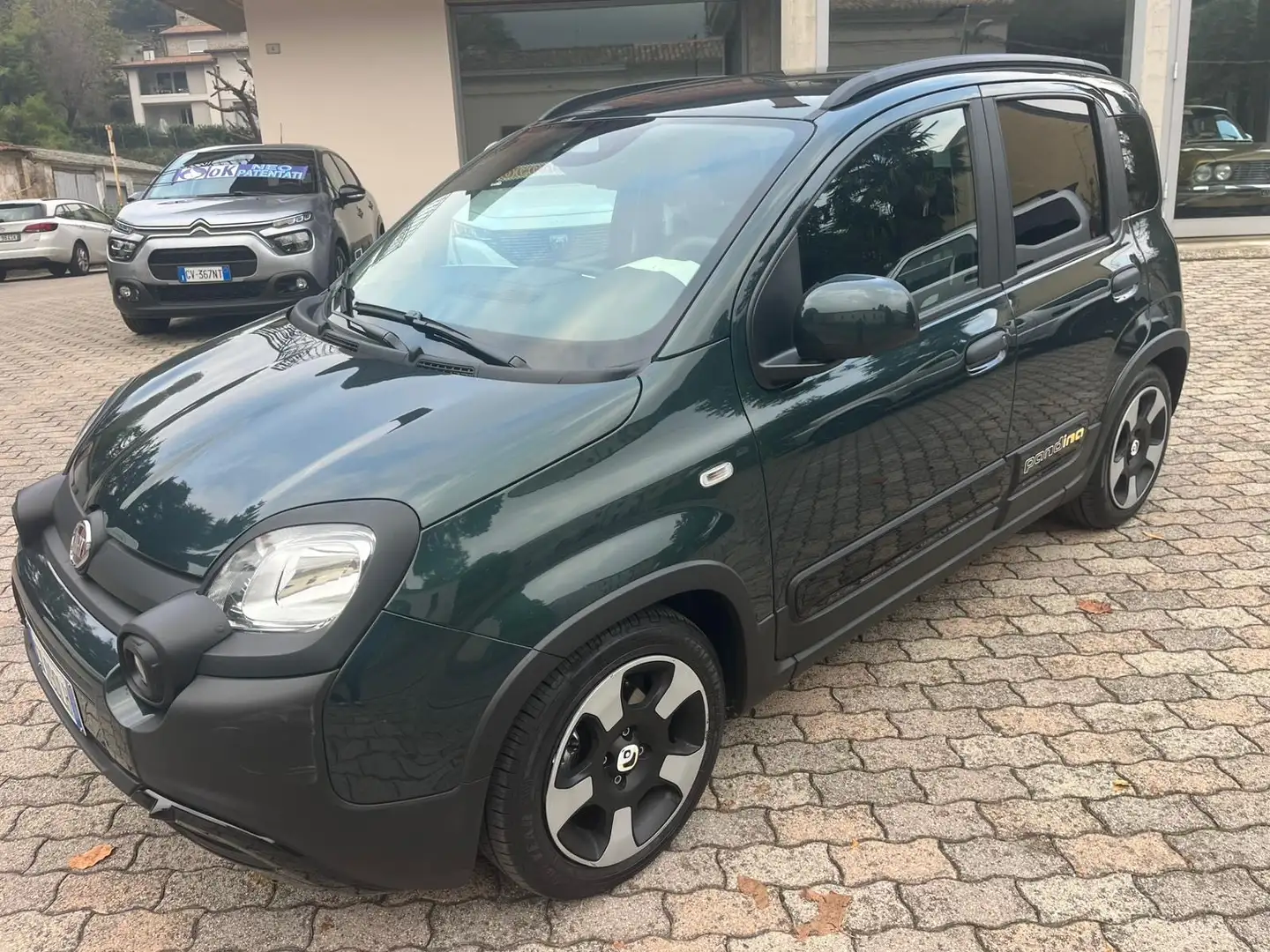 Fiat Panda Pandina Cross 1.0 firefly hybrid s&s 70cv Verde - 2