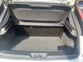 Fiat Punto Evo 3p 1.4 natural power Dynamic 70cv “neopatentati Blanco - thumbnail 9