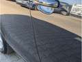 Volkswagen Golf Variant TSI Match*Lackmängel*Gewerbe/Export Black - thumbnail 17