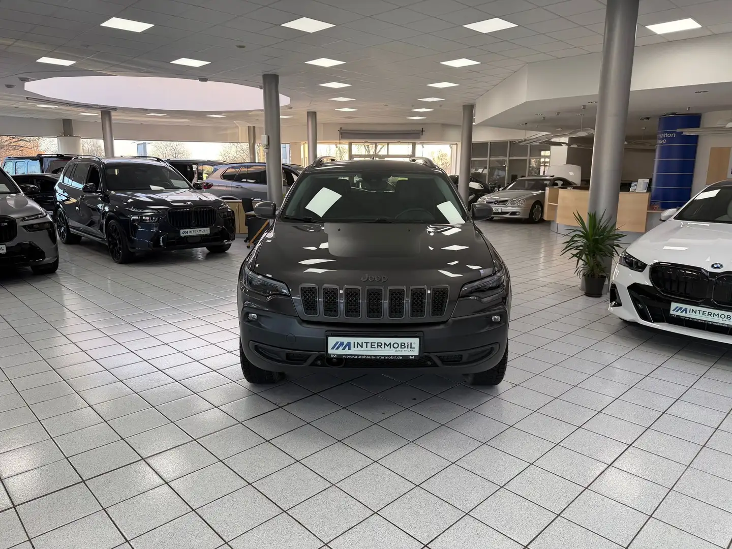 Jeep Cherokee 2.0 T-GDI Trailhawk 4WD ACC*MEMO*KAM* Gris - 2