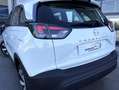 Opel Crossland 1.2 S&S Edition 110 Blanco - thumbnail 19