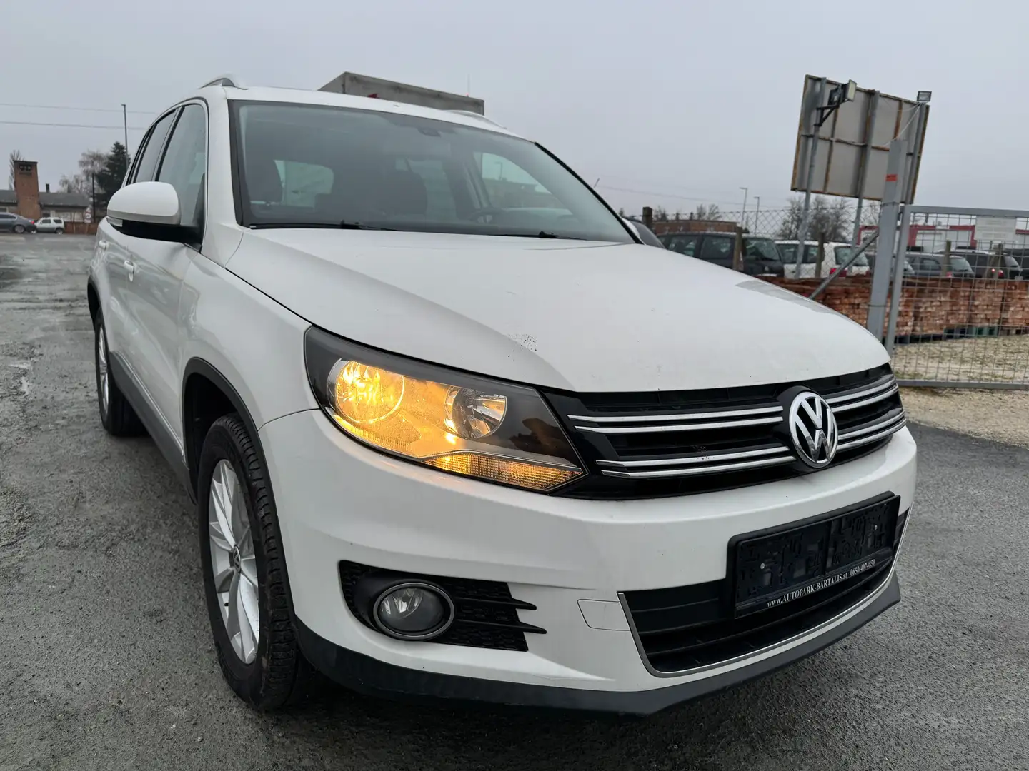 Volkswagen Tiguan Sport 4-Motion DSG 4wd ALLRAD Weiß - 2