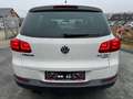 Volkswagen Tiguan Sport 4-Motion DSG 4wd ALLRAD Weiß - thumbnail 7