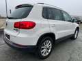 Volkswagen Tiguan Sport 4-Motion DSG 4wd ALLRAD Weiß - thumbnail 8