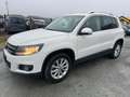 Volkswagen Tiguan Sport 4-Motion DSG 4wd ALLRAD Blanc - thumbnail 2