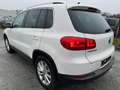 Volkswagen Tiguan Sport 4-Motion DSG 4wd ALLRAD Weiß - thumbnail 4
