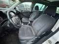 Volkswagen Tiguan Sport 4-Motion DSG 4wd ALLRAD Blanc - thumbnail 6