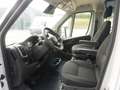 Fiat Ducato Maxi 35 L3H2 180 / Snoeks 5-Sitzer Weiß - thumbnail 9