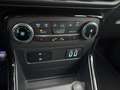 Ford EcoSport ST-Line* LENKRADHZG*B&O*KEYLESS Grau - thumbnail 12