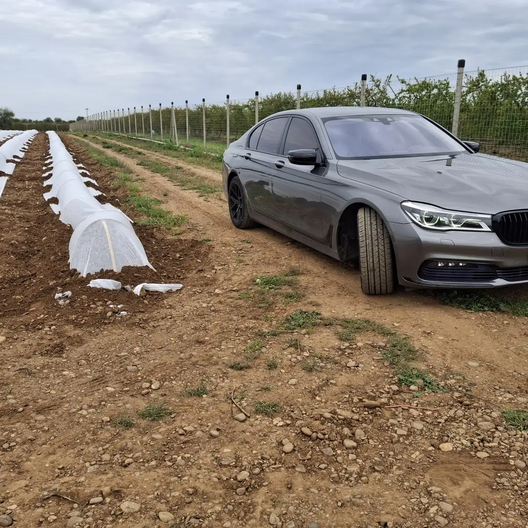 BMW 730 730d Luxury auto - 2