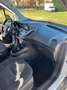 Ford Courier 1.5 TDCI 75CV TREND Biały - thumbnail 10