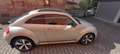 Volkswagen Beetle Sport Grau - thumbnail 15