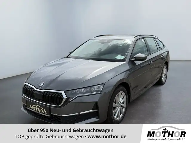 2024 Skoda Octavia in Grey for sale