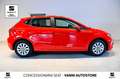 SEAT Ibiza 1.0 TGI 5 porte Business Rosso - thumbnail 2