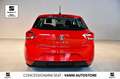 SEAT Ibiza 1.0 TGI 5 porte Business Rosso - thumbnail 5